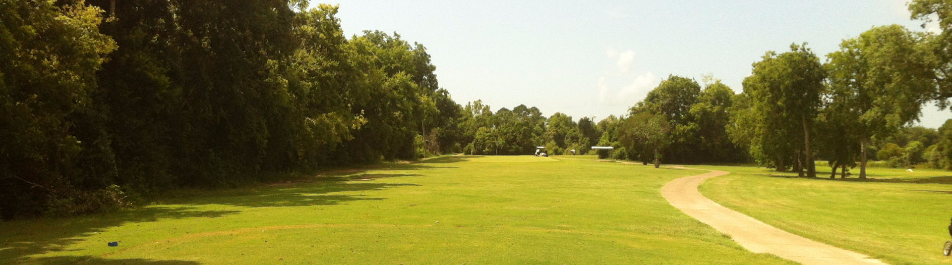 golf course green