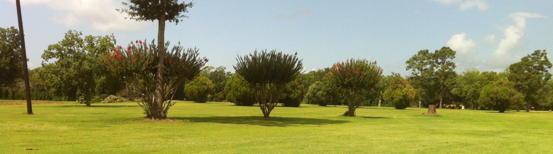 view of golf course